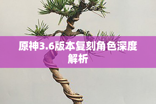 6版本复刻角色深度解析图片