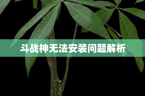 斗战神无法安装问题解析图片