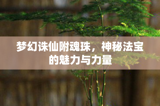 神秘法宝的魅力与力量图片