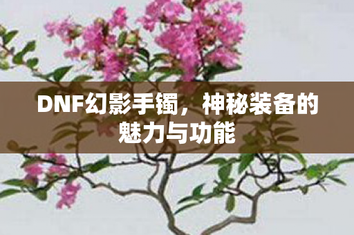 神秘装备的魅力与功能图片