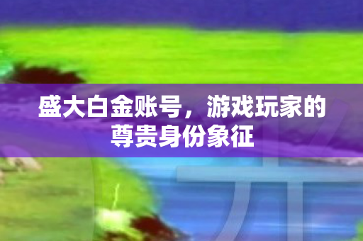 游戏玩家的尊贵身份象征图片
