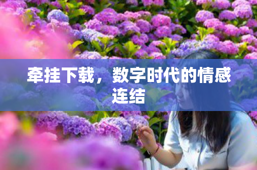 数字时代的情感连结图片