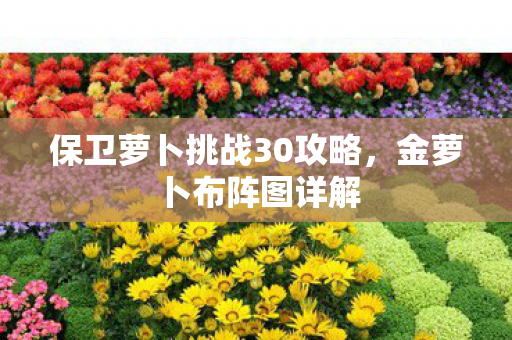 保卫萝卜挑战30攻略图片