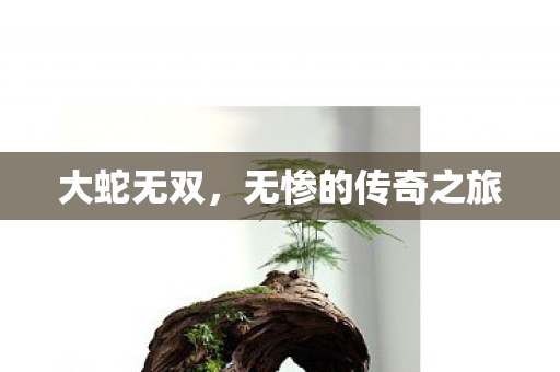 无惨的传奇之旅图片