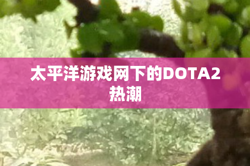 太平洋游戏网下的DOTA2热潮图片
