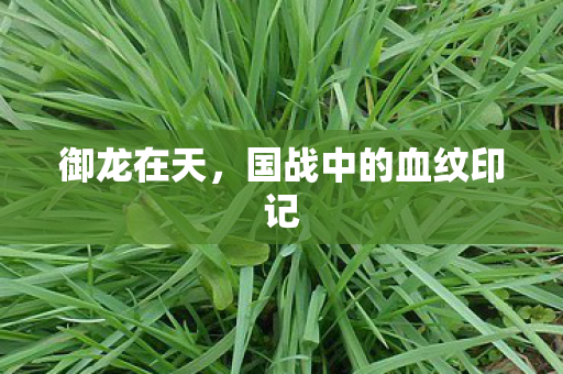 国战中的血纹印记图片
