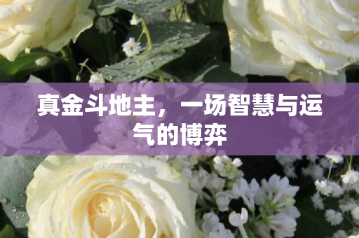 一场智慧与运气的博弈图片
