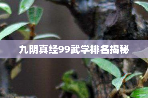 九阴真经99武学排名揭秘图片