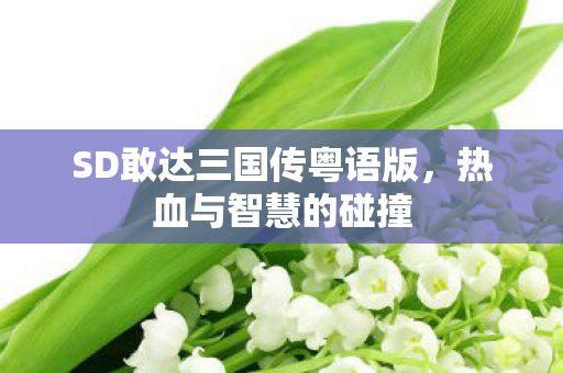 SD敢达三国传粤语版图片