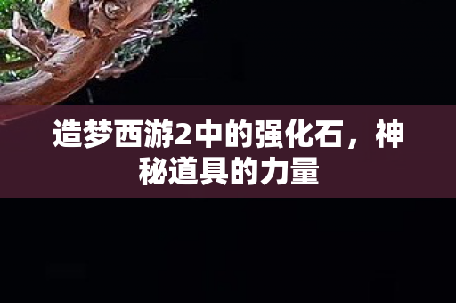 造梦西游2中的强化石图片