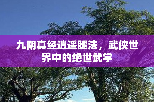 武侠世界中的绝世武学图片