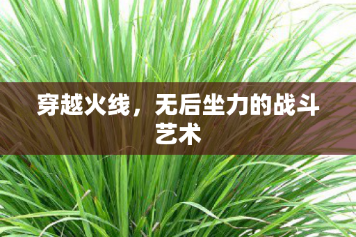 无后坐力的战斗艺术图片