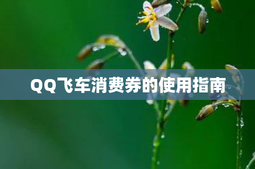 QQ飞车消费券的使用指南图片