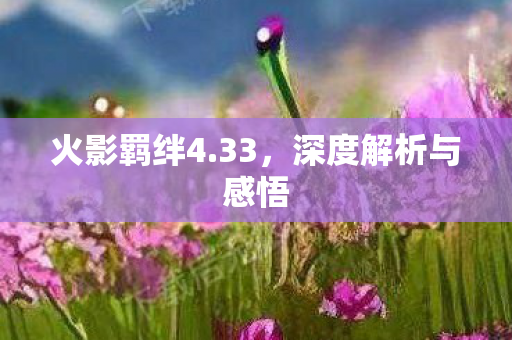 深度解析与感悟图片