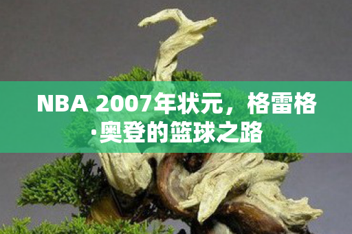 NBA 2007年状元图片
