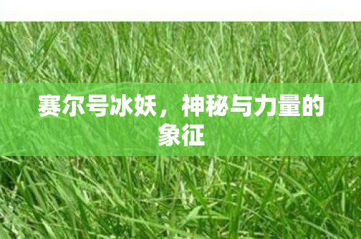 神秘与力量的象征图片