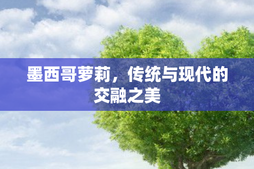 传统与现代的交融之美图片