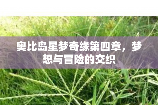 奥比岛星梦奇缘第四章图片