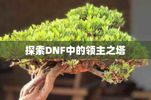 探索DNF中的领主之塔图片