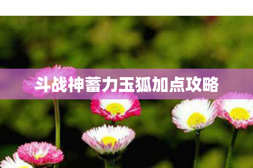 斗战神蓄力玉狐加点攻略图片