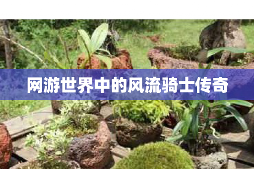 网游世界中的风流骑士传奇图片
