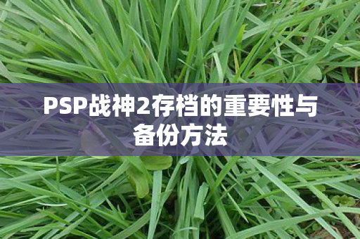 PSP战神2存档的重要性与备份方法图片