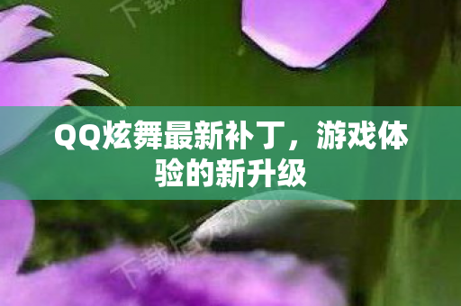 QQ炫舞最新补丁图片