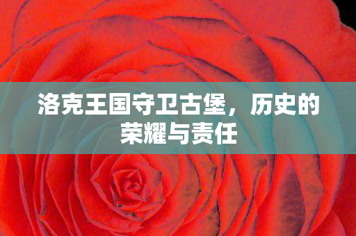 洛克王国守卫古堡图片