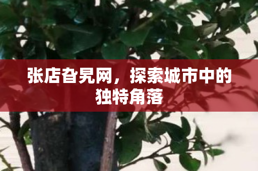 探索城市中的独特角落图片