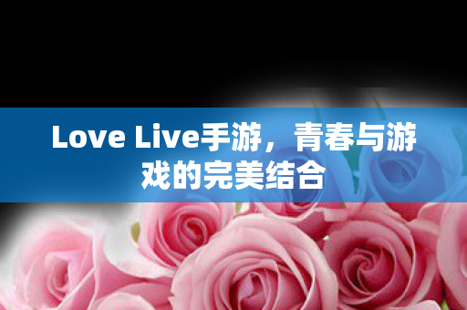 Love Live手游图片