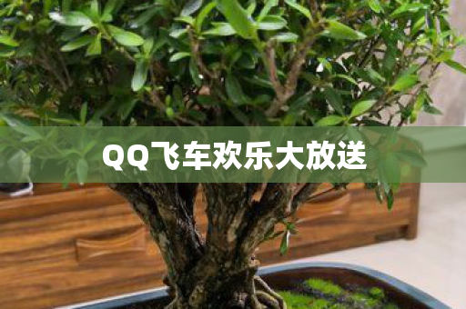 QQ飞车欢乐大放送图片