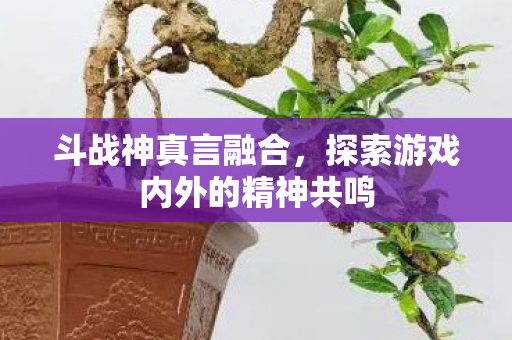 探索游戏内外的精神共鸣图片