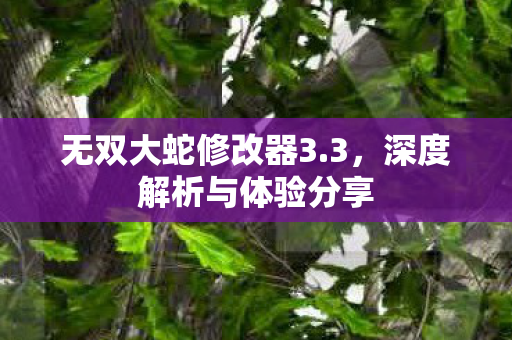 深度解析与体验分享图片