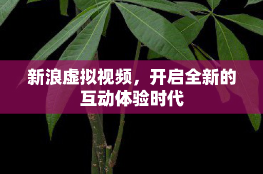 开启全新的互动体验时代图片