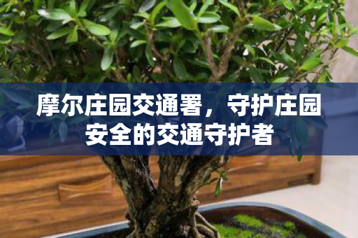 守护庄园安全的交通守护者图片