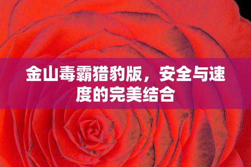 安全与速度的完美结合图片