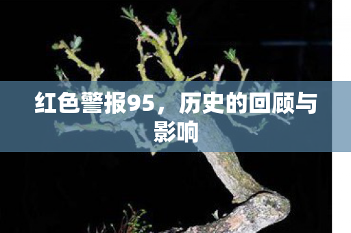 历史的回顾与影响图片