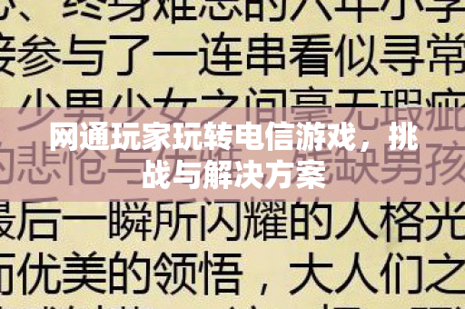 网通玩家玩转电信游戏图片