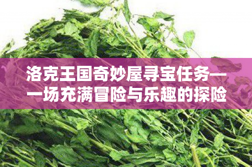 一场充满冒险与乐趣的探险之旅图片