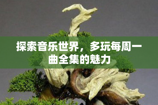 多玩每周一曲全集的魅力图片