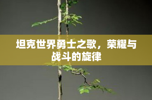 坦克世界勇士之歌图片