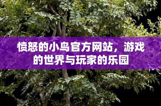 游戏的世界与玩家的乐园图片