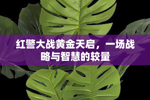一场战略与智慧的较量图片