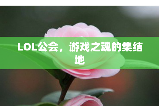 游戏之魂的集结地图片