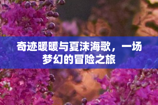 奇迹暖暖与夏沫海歌图片