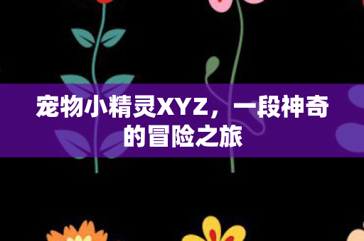 一段神奇的冒险之旅图片