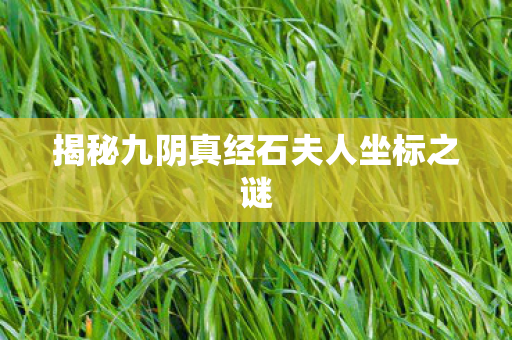 揭秘九阴真经石夫人坐标之谜图片