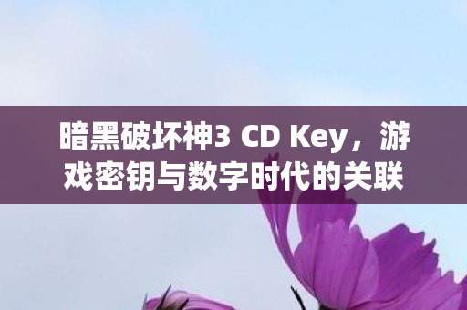 暗黑破坏神3 CD Key图片