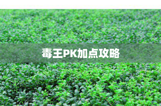 毒王PK加点攻略图片