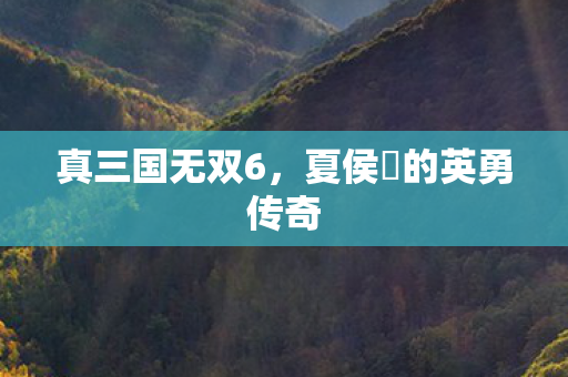 夏侯惇的英勇传奇图片